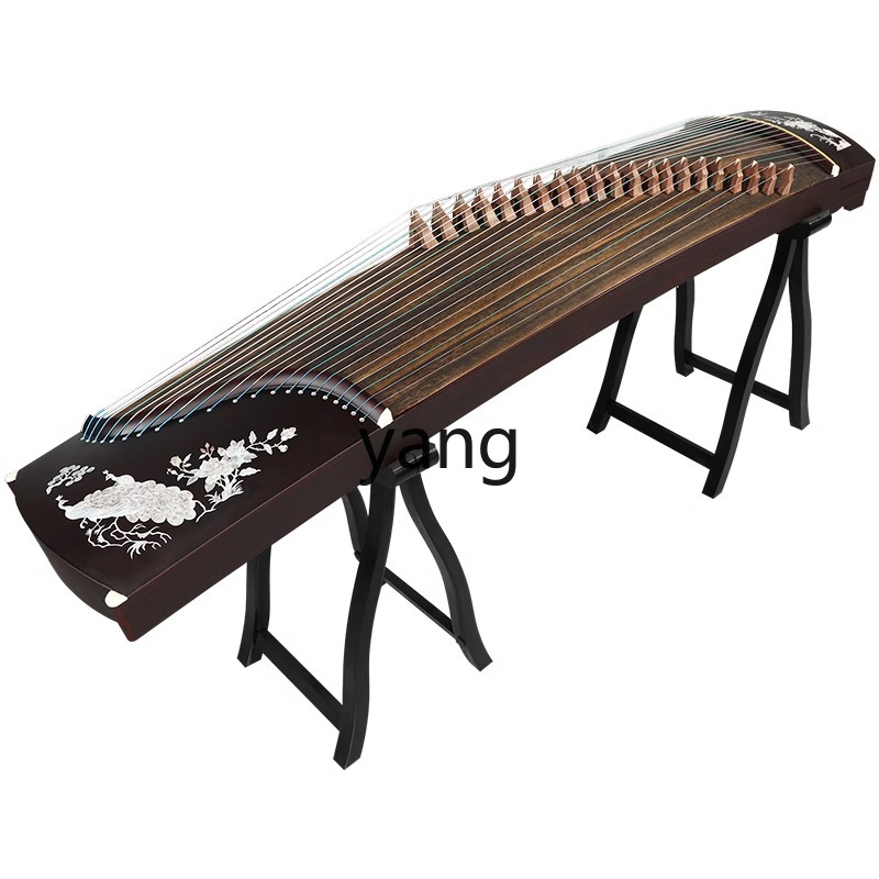 Musical Instrument Guzheng - 테스트 입문자용 10급 전문 성인 교육용