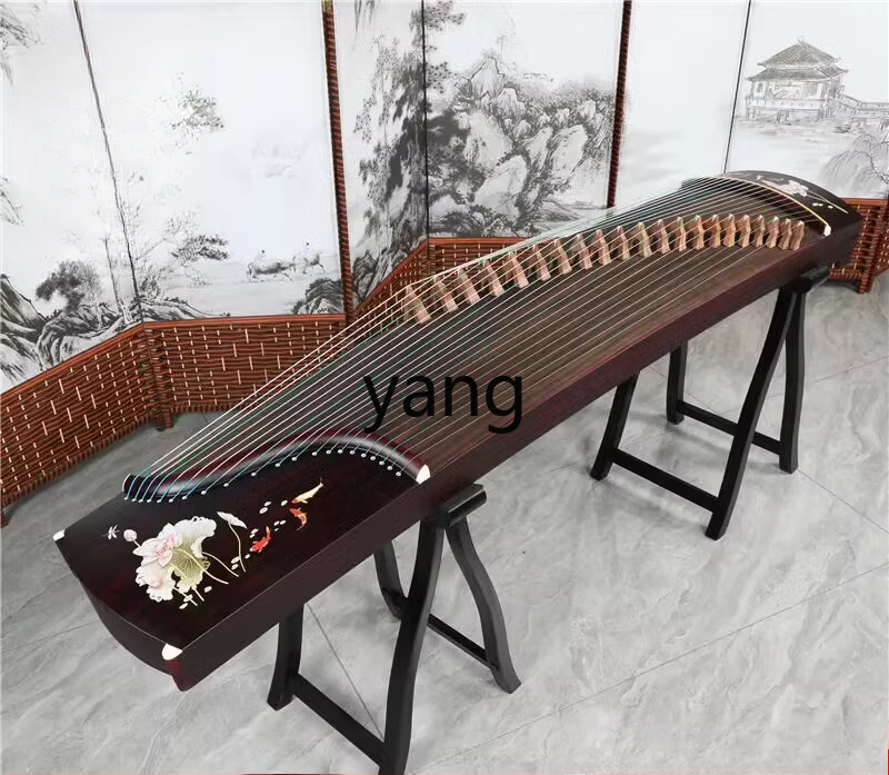 테스트 입문자용 10급 전문 성인 교육용 구젱 피아노  - Musical Instrument Guzheng 리뷰 및 가격